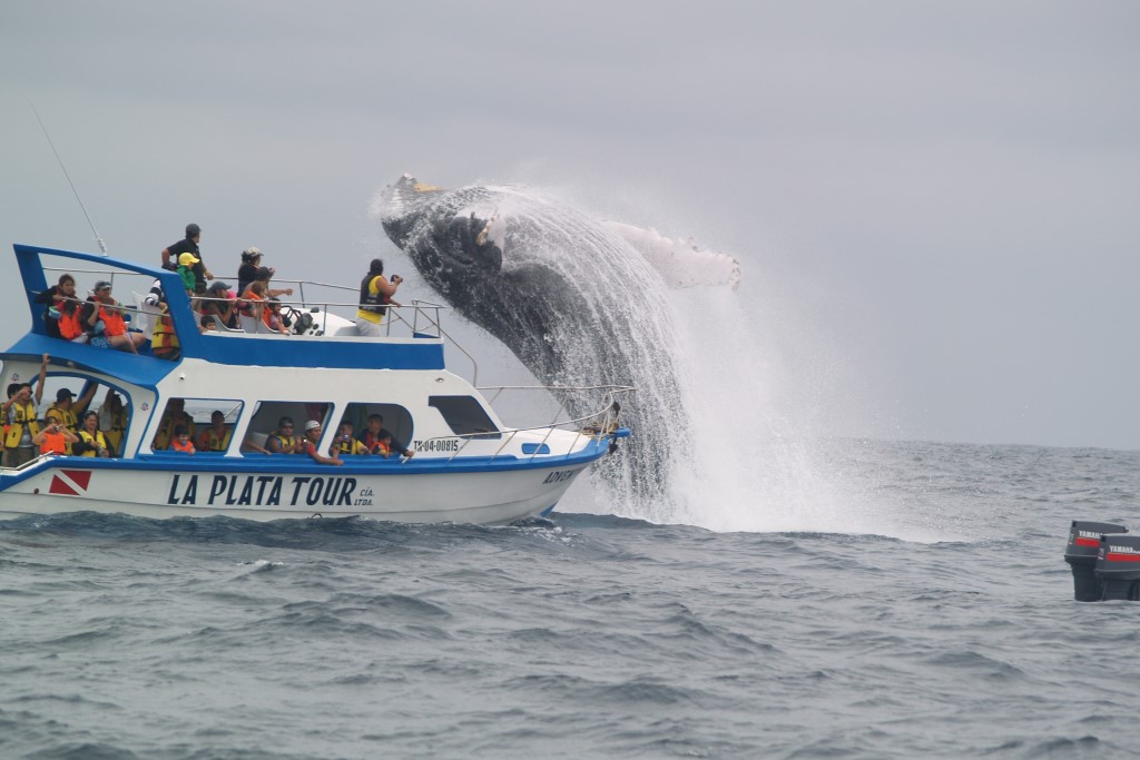 Galapagos expedition cruise