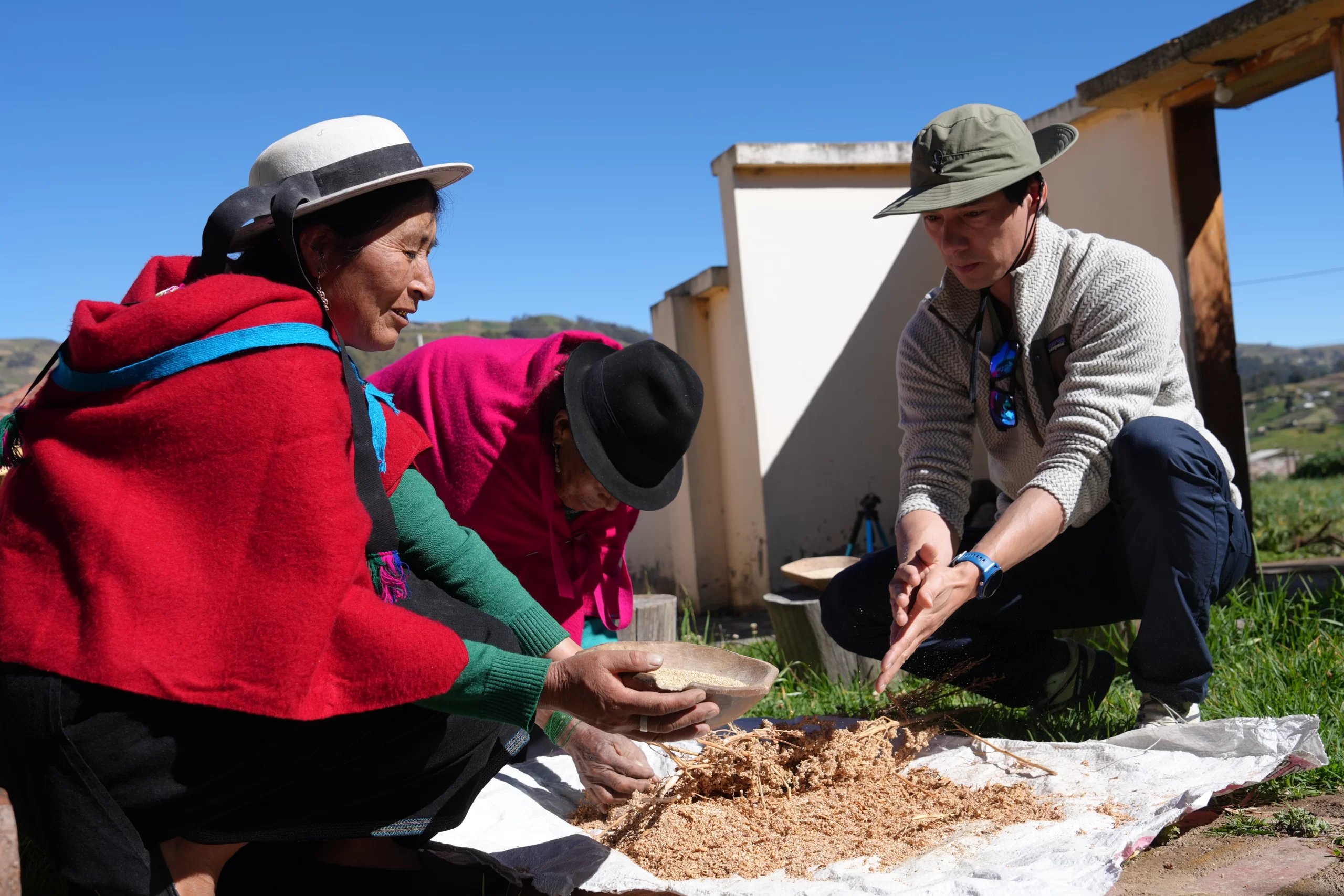 Quinoa production systems