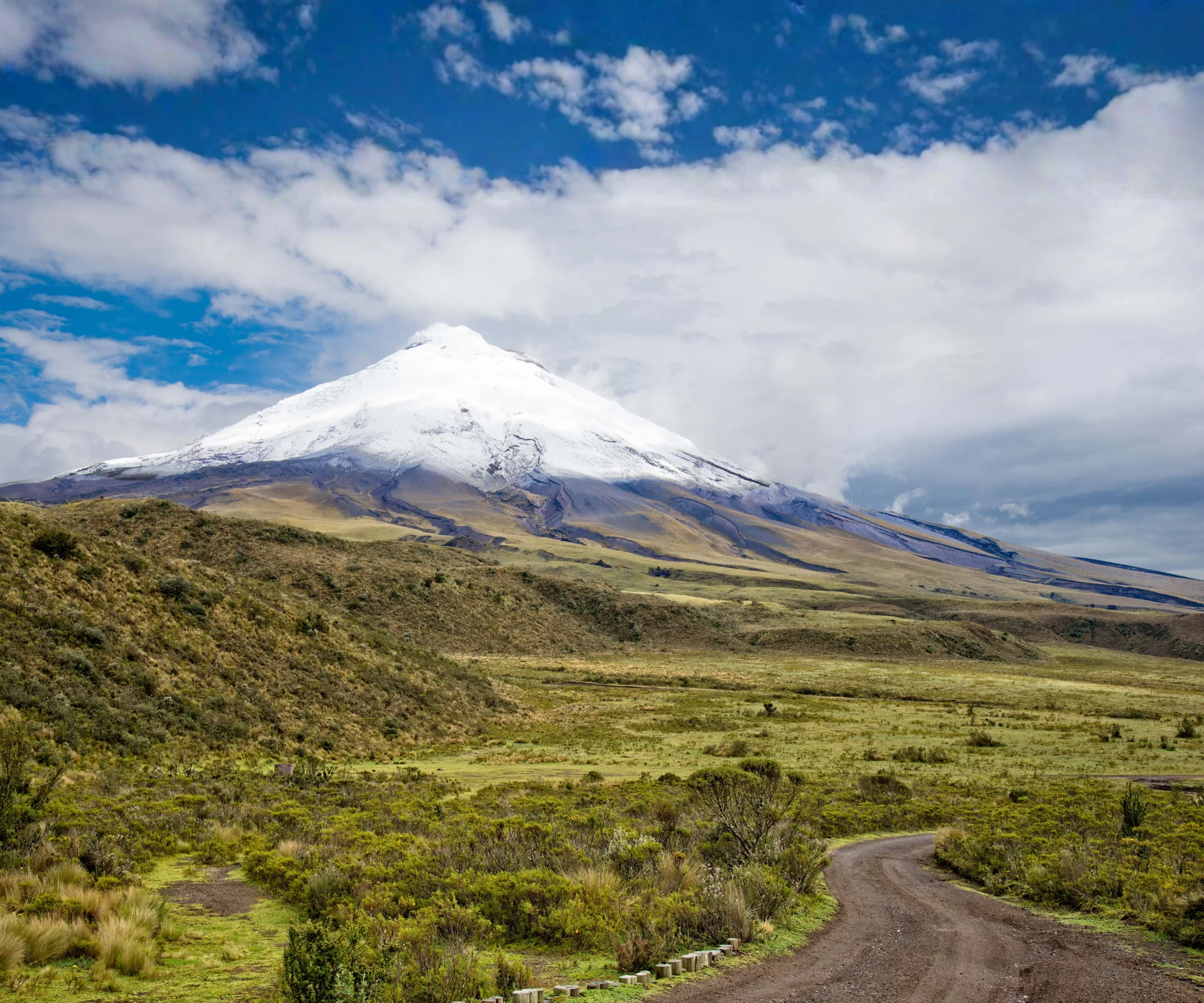 Chimborazo high-altitude landscape