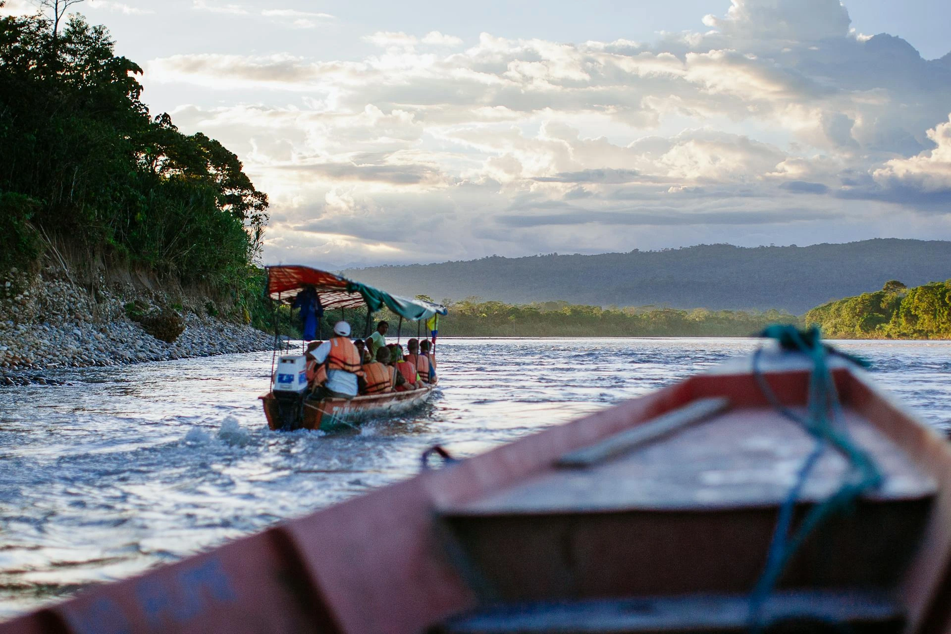 Amazon Rainforest Extension