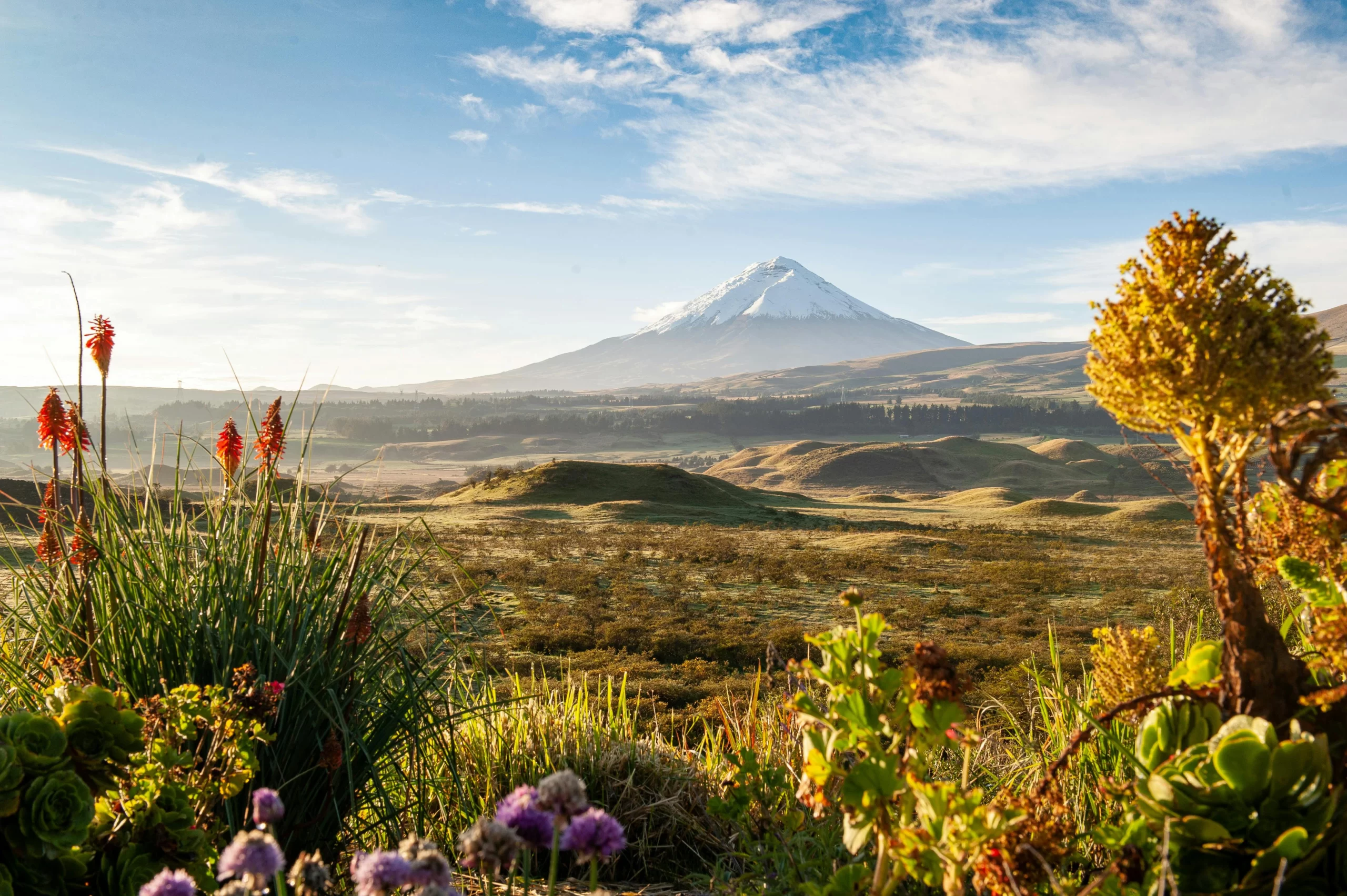 Chakana Reserve highlands