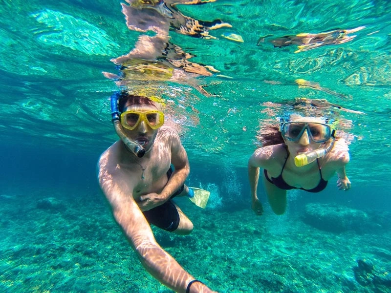 Galapagos marine experience
